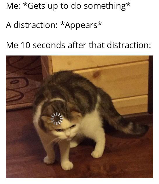 Meme by listables