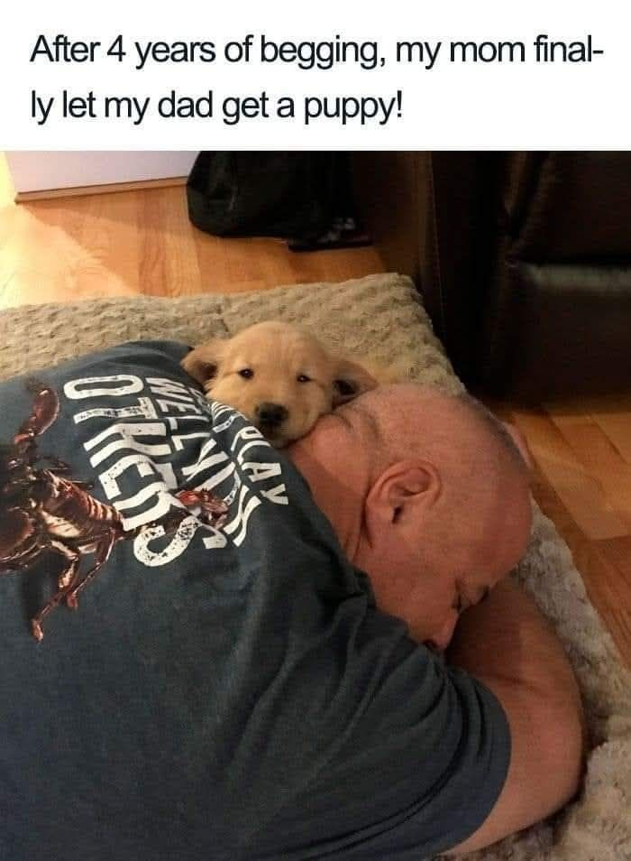 After 4 years of begging, my mom final- ly let dad get a puppy! (RAY