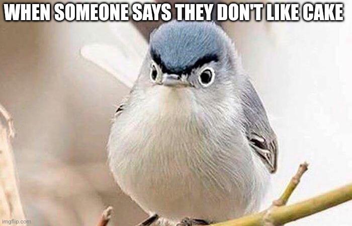 WHEN SOMEONE SAYS THEY DON'T LIKE CAKE imoflip.com