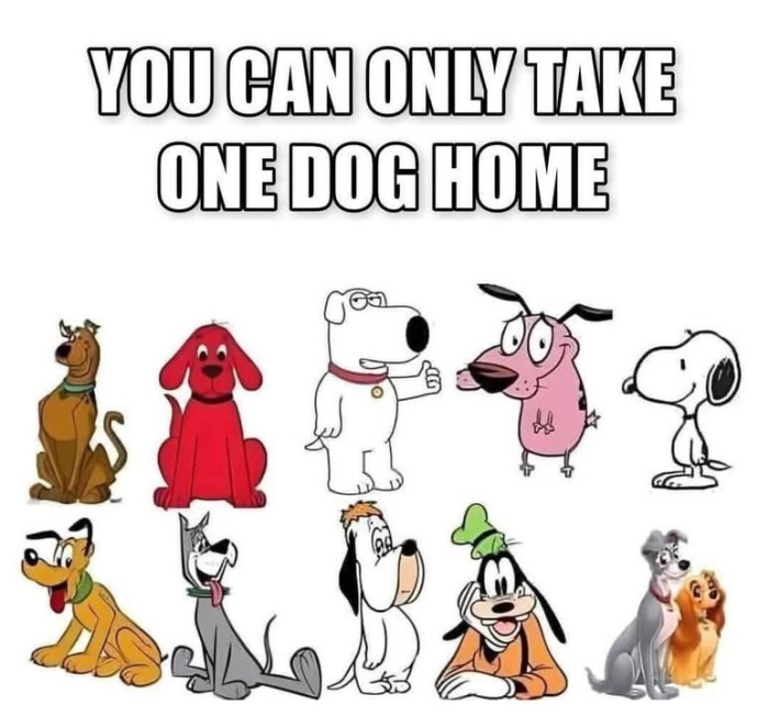 YOU CAN ONLY TAKE ONE DOG HOME