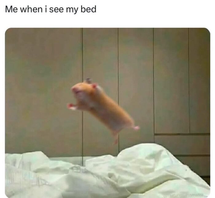 Me when i see my bed
