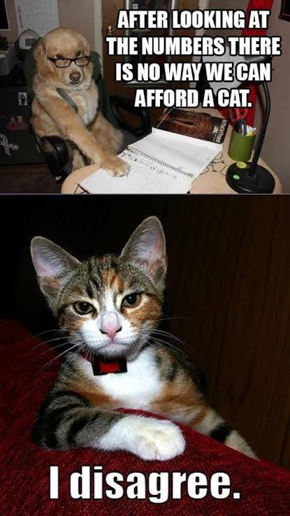 AFTER LOOKING AT THE NUMBERS THERE IS NO WAY WE CAN AFFORD A CAT. I disagree.