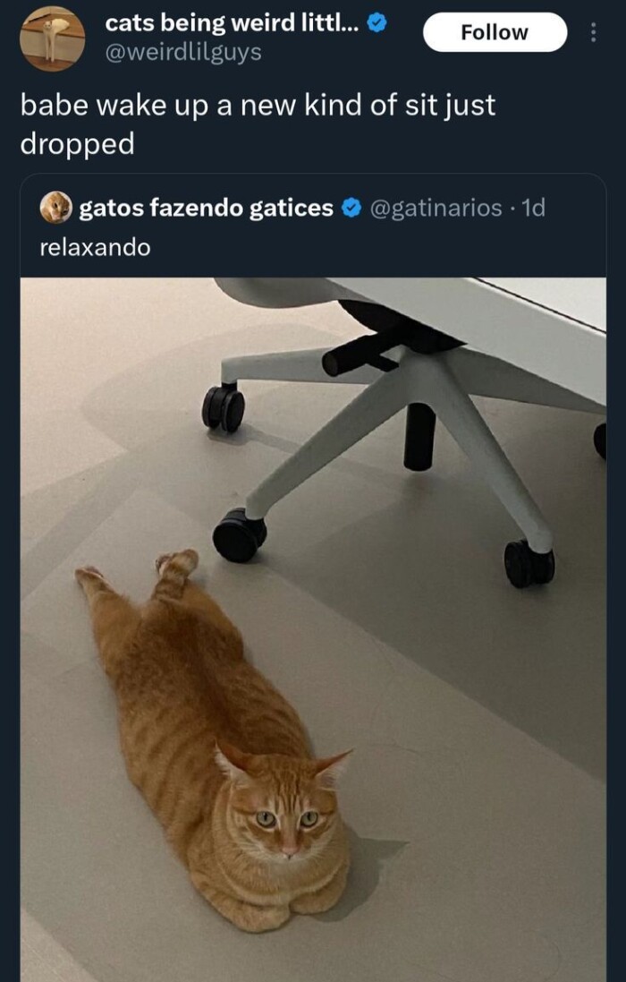 Meme by catsoncatnip