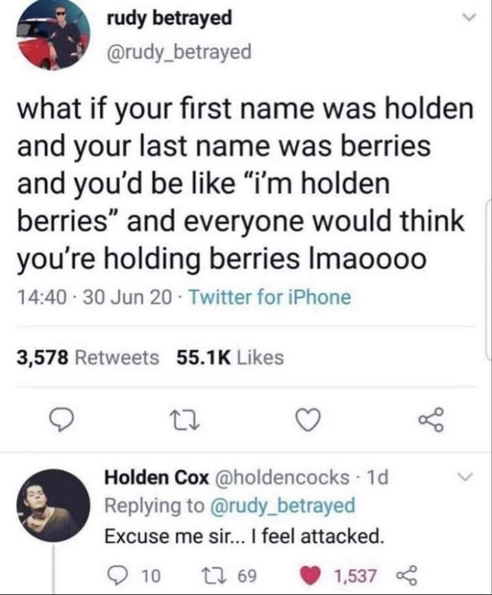 rudy betrayed what if your first name was holden and last berries you'd be like