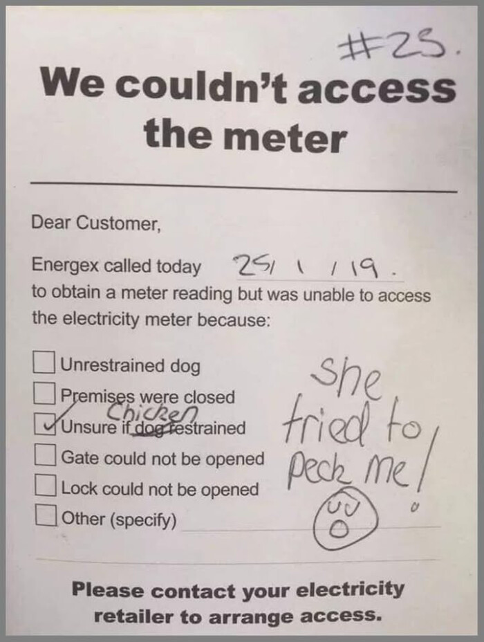 access the meter Dear Customer, Energex called today