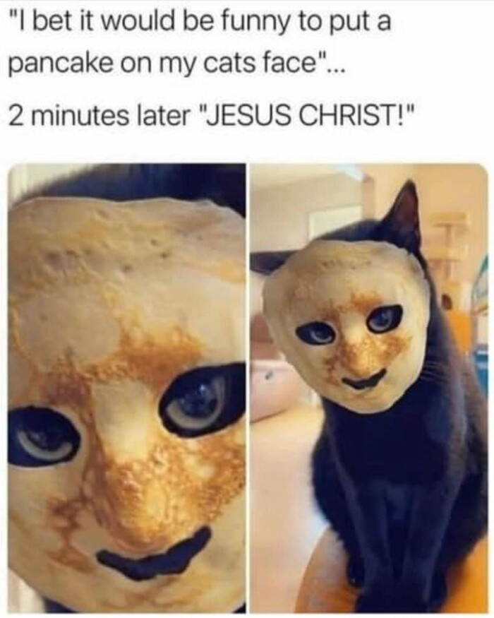 Meme by catsoncatnip