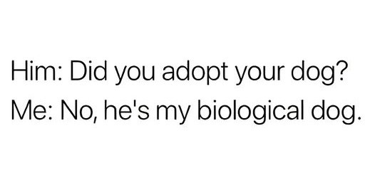 Him: Did you adopt your dog? Me: No, he's my biological dog.