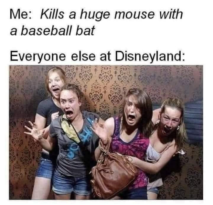 Me: Kills a huge mouse with baseball bat Everyone else at Disneyland:
