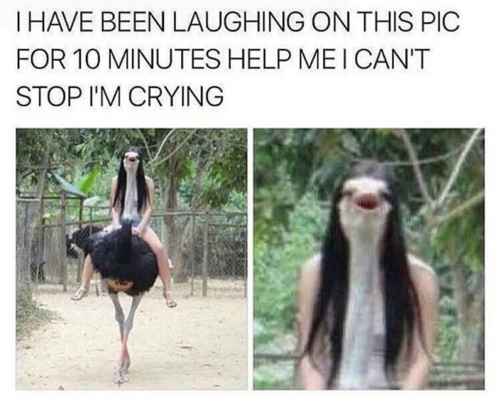 I HAVE BEEN LAUGHING ON THIS PIC FOR 10 MINUTES HELP MEI CAN'T STOP I'M CRYING