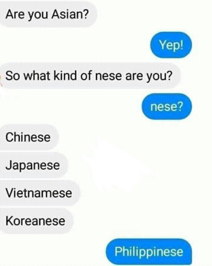 Are you Asian? So what kind of nese are you? Yep! nese? Chinese Japanese Vietnamese Koreanese Philippinese