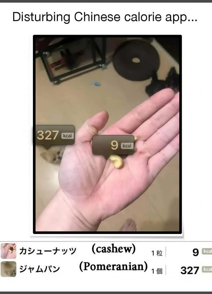 Meme by tiger