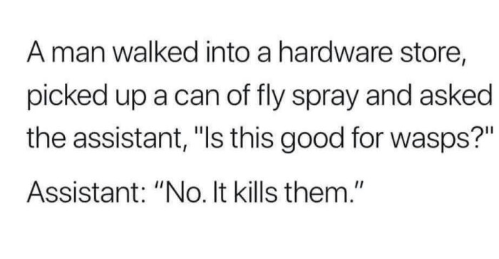 A man walked into a hardware store, picked up can of fly spray and asked the assistant, "Is this good for wasps?" Assistant: "No. It kills them."