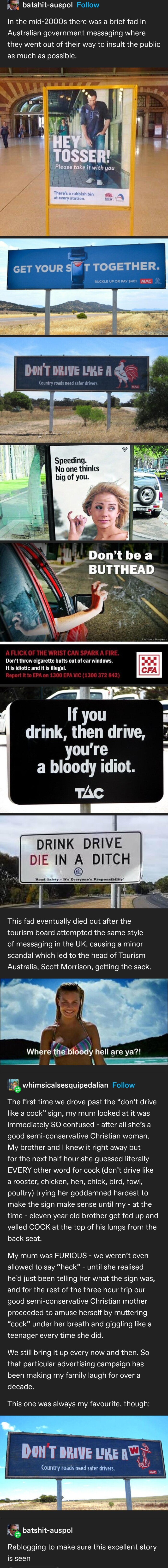 In the mid-2000s there was a brief fad in they went out of their way to insult puenc as much possioit : GET YOUR ST TOGETHER. DON'T DRIVE LIKE A 6 I Don't be BUTTHEAD If you drink, then drive, you're bloody idiot. The DRINK DIE IN DITCH This eventually cied after tourism board attempted same style messaging UK causina mino scandal which led head Touris Il are ya?! Is whimsicalsesquinedalian Follow first time we drove past "don't drive like " sign, my mum looked at it immediately SO confused -…