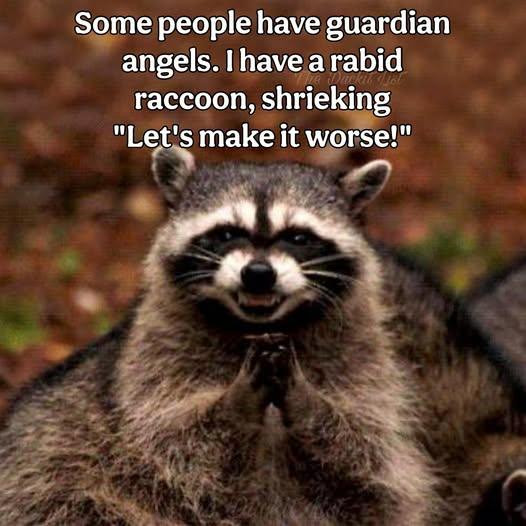Some people have guardian angels. I a rabid raccoon, shrieking "Let's make it worse!"