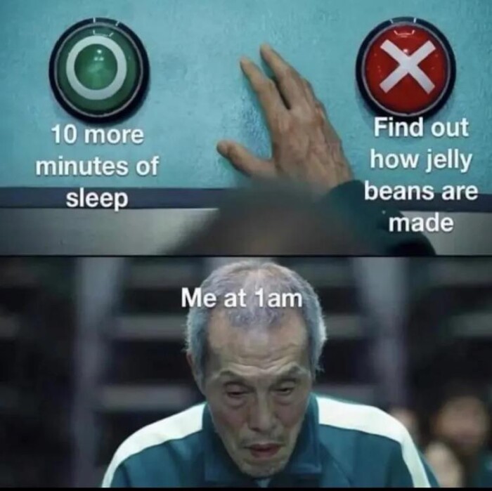 10 more minutes of sleep Me at 1am Find out how jelly beans are made
