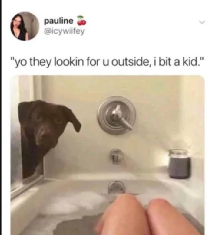 they lookin for