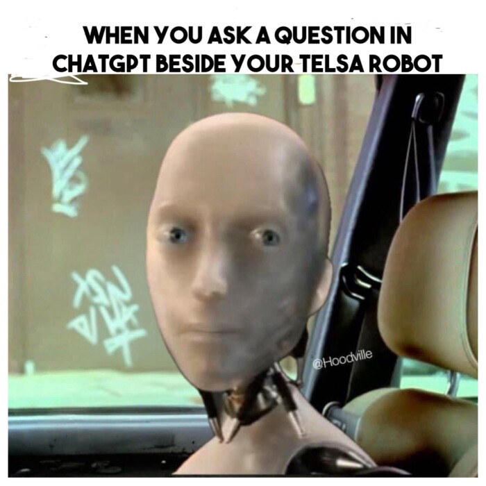 Meme by tiger