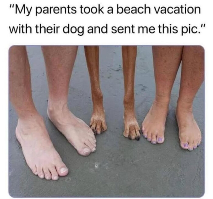 "My parents took a beach vacation with their dog and sent me this pic."