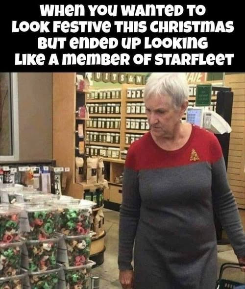 WHen YOU WAnTeD TO LOOK FeSTIVe THIS CHRISTMAS BUT endeD UP LOOKInG LIKe A MEmBER OF STARFLEET