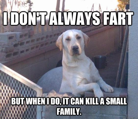 Meme by doge