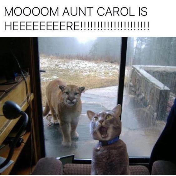 Meme by disneymemes