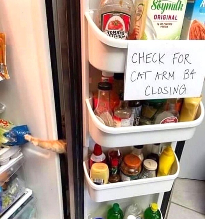 Meme by postyourcats