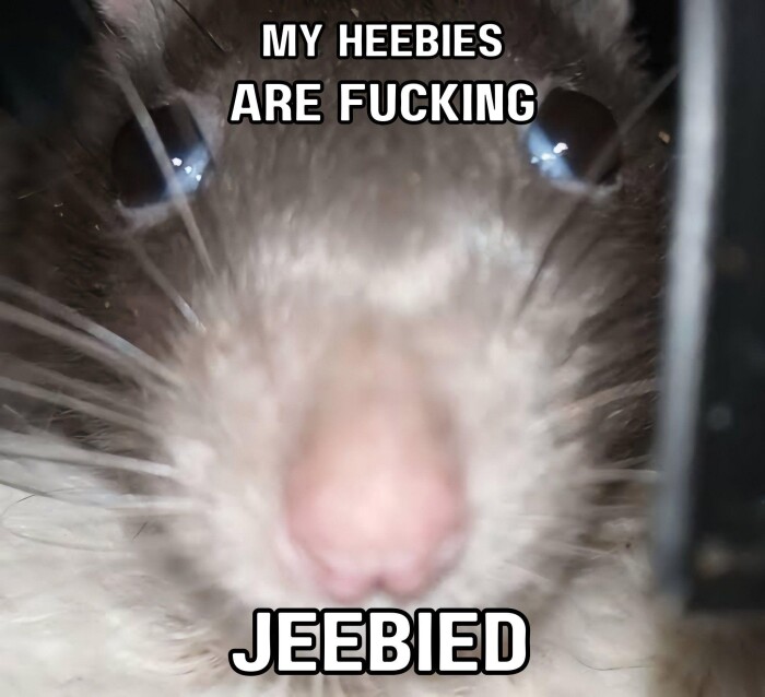 Meme by disneymemes