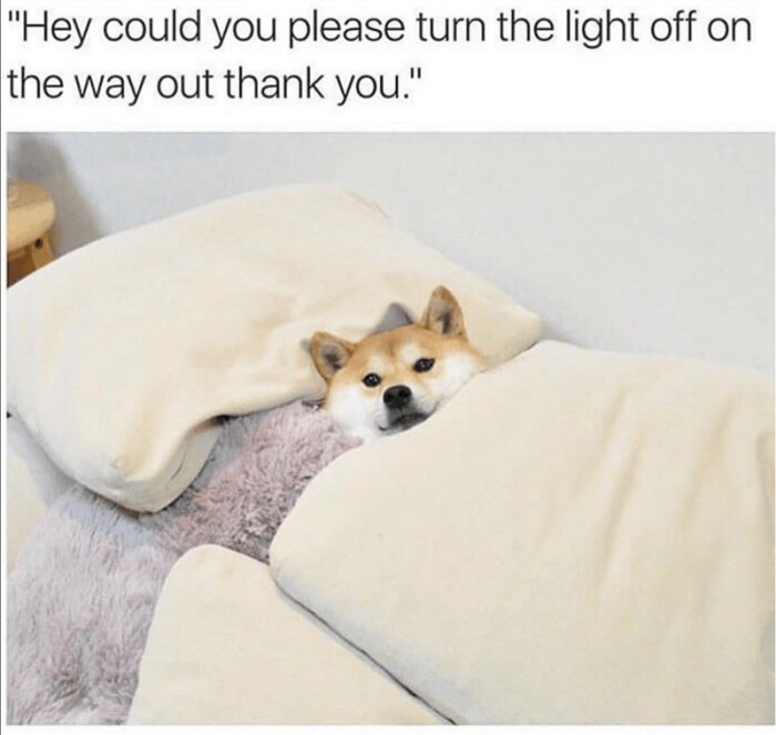 Share a Meme That Perfectly Describes Your Mood Today