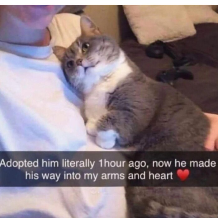 Meme by warningdisneyaddictsonly