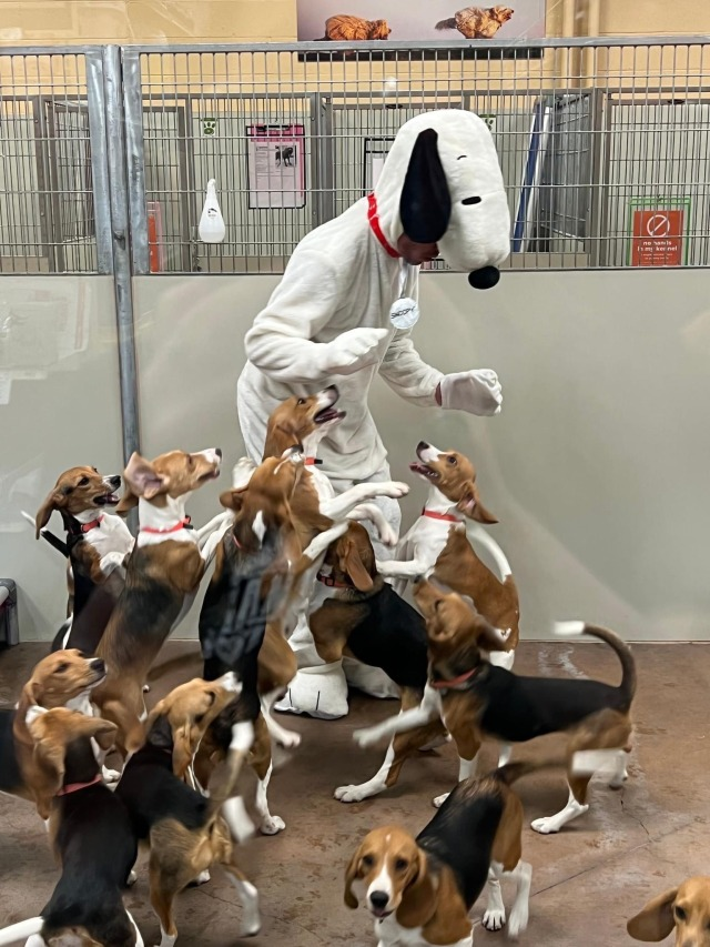 Meme by pupperdoggo