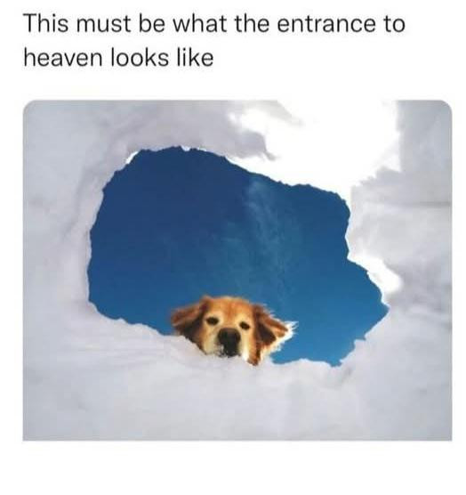 This must be what the entrance to heaven looks like
