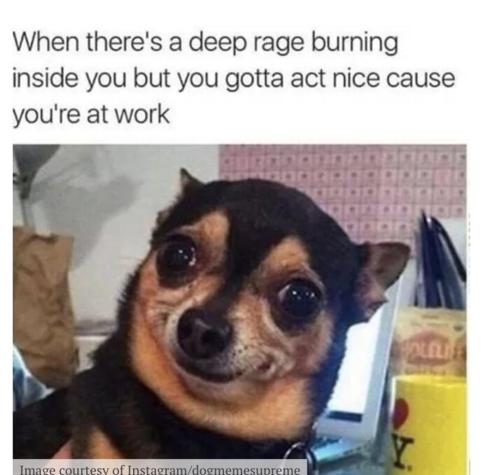 Meme by pupperdoggo