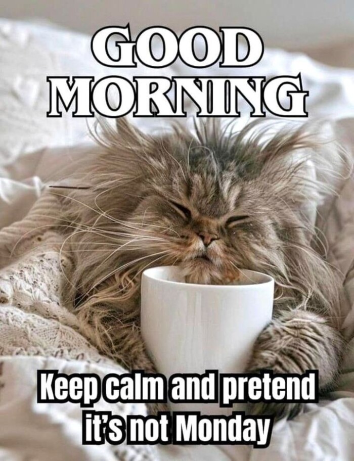 GOOD MORNING Keep calm and pretend it's not Monday