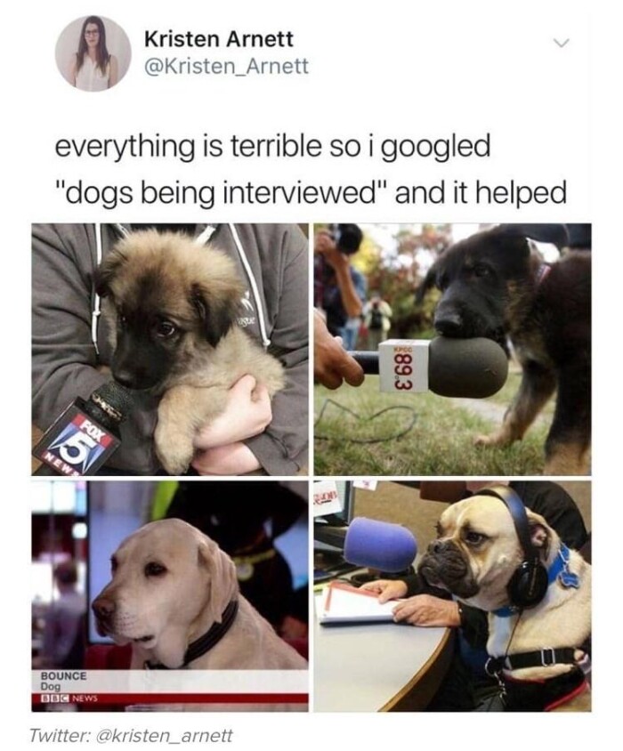 Meme by doge