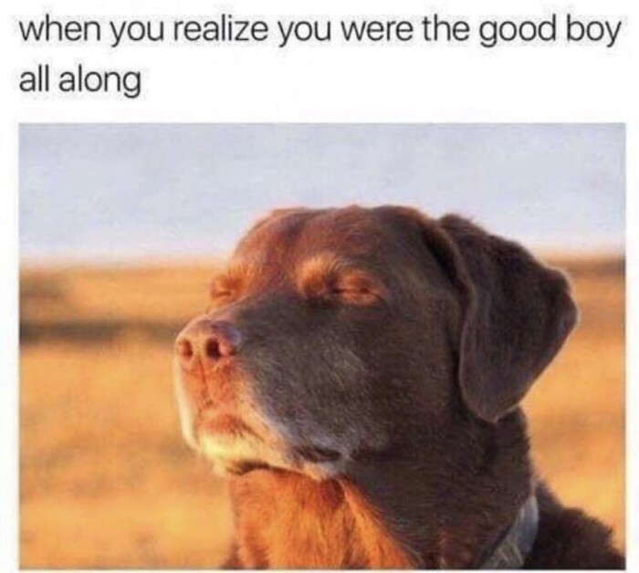 when you realize were the good boy all along