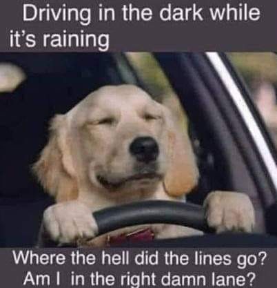 Driving in the dark while it's raining Where hell did lines go? Am I right lane?