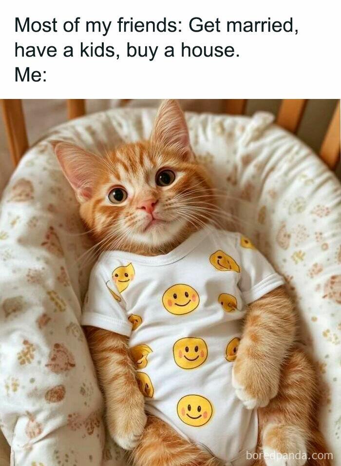 Meme by postyourcats