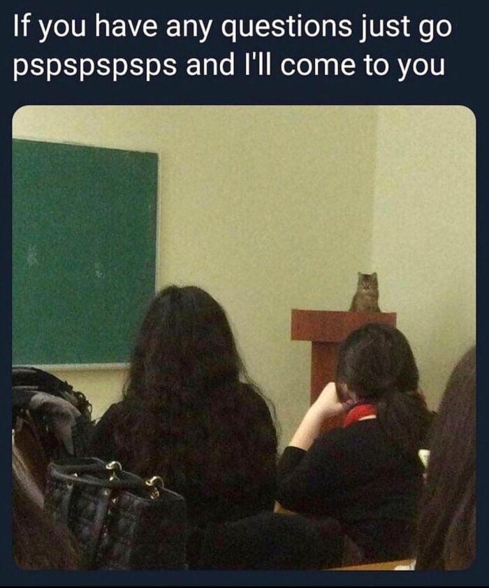 If you have any questions just go pspspspsps and I'II come to