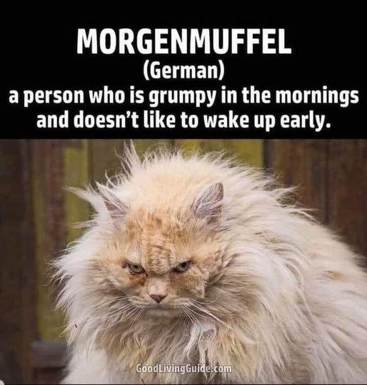 Meme by dailyposts