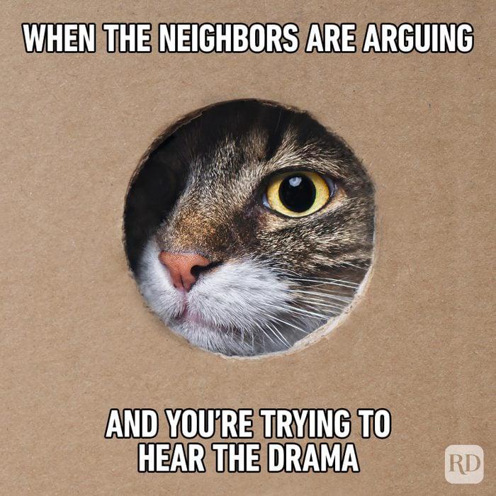 Meme by kronk