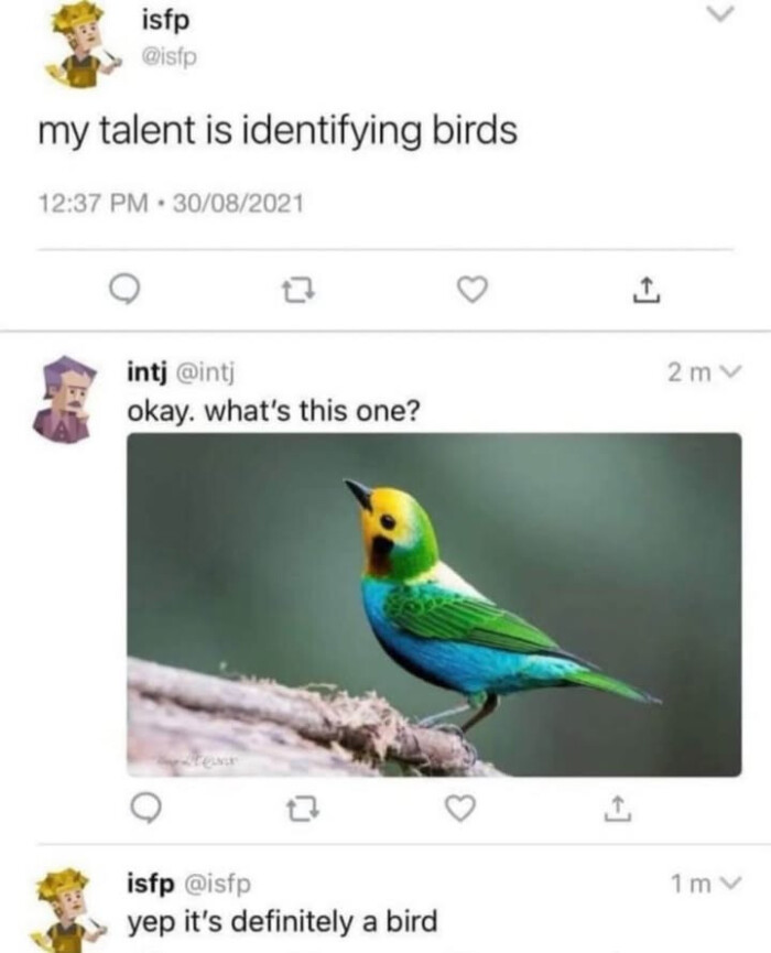 isfp my talent is identifying birds