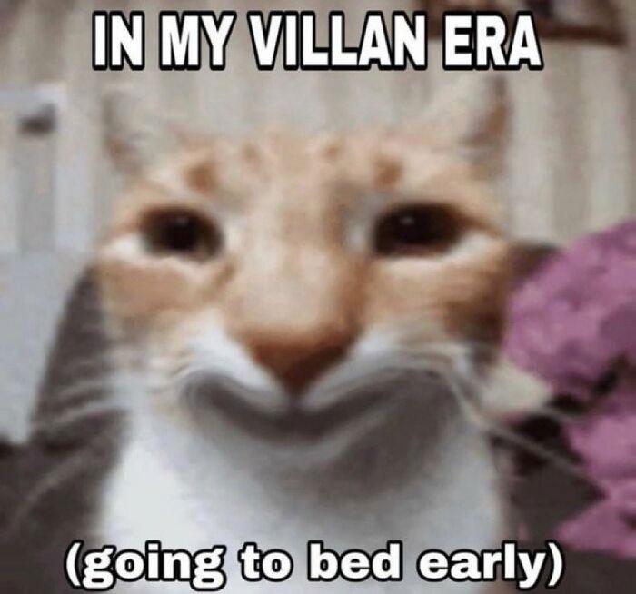 Meme by gargoyle