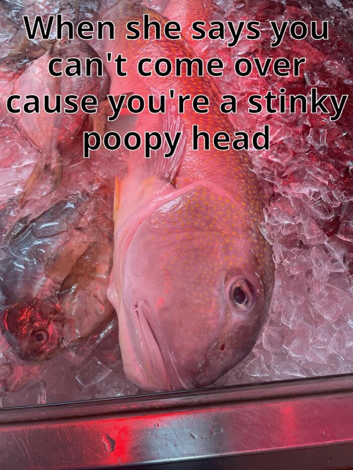 Meme by kronk
