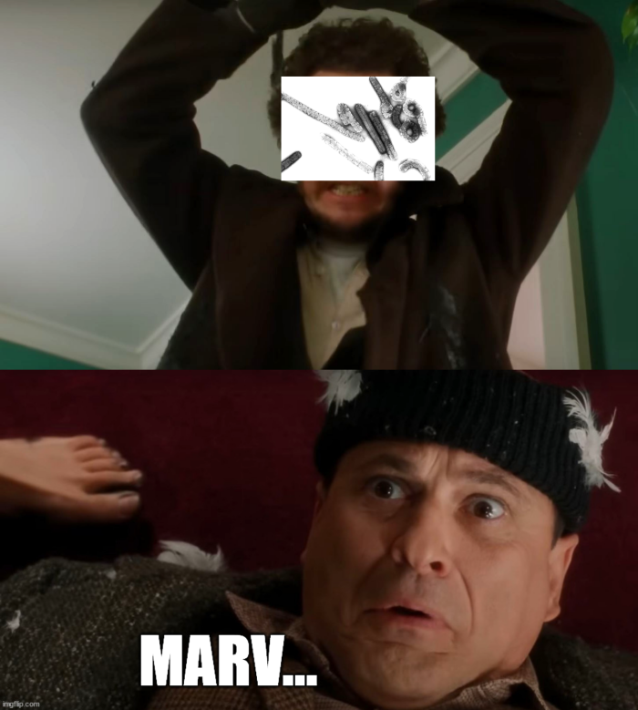 Meme by kronk