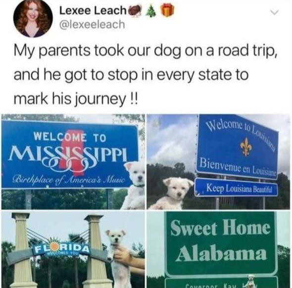 Lexee Leach My parents took our dog on a road trip, and he got to stop in every state mark his journey