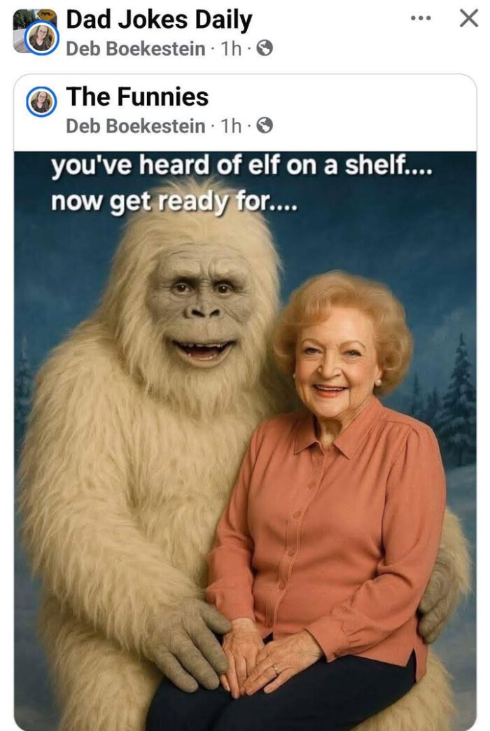 Dad Jokes Daily Deb Boekestein The Funnies you've heard of elf on a shelf.... now get ready for....