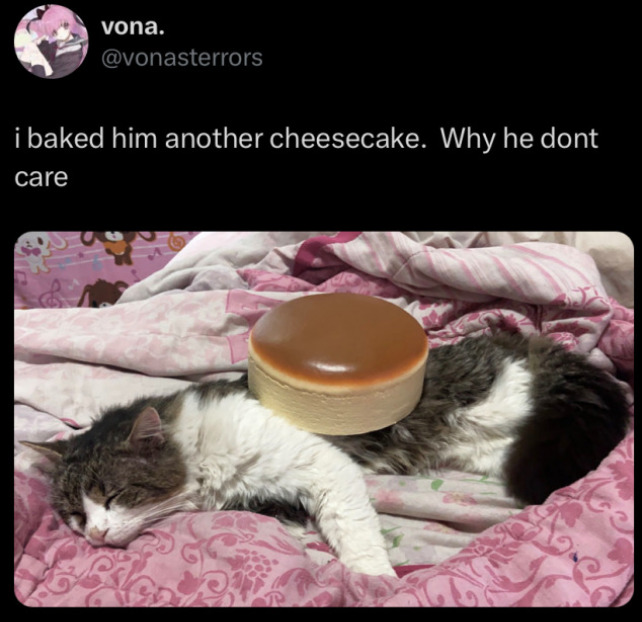 Meme by catsoncatnip
