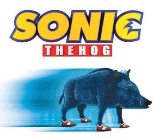 SONTIE THEHOG