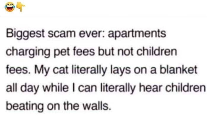 Meme by catsoncatnip