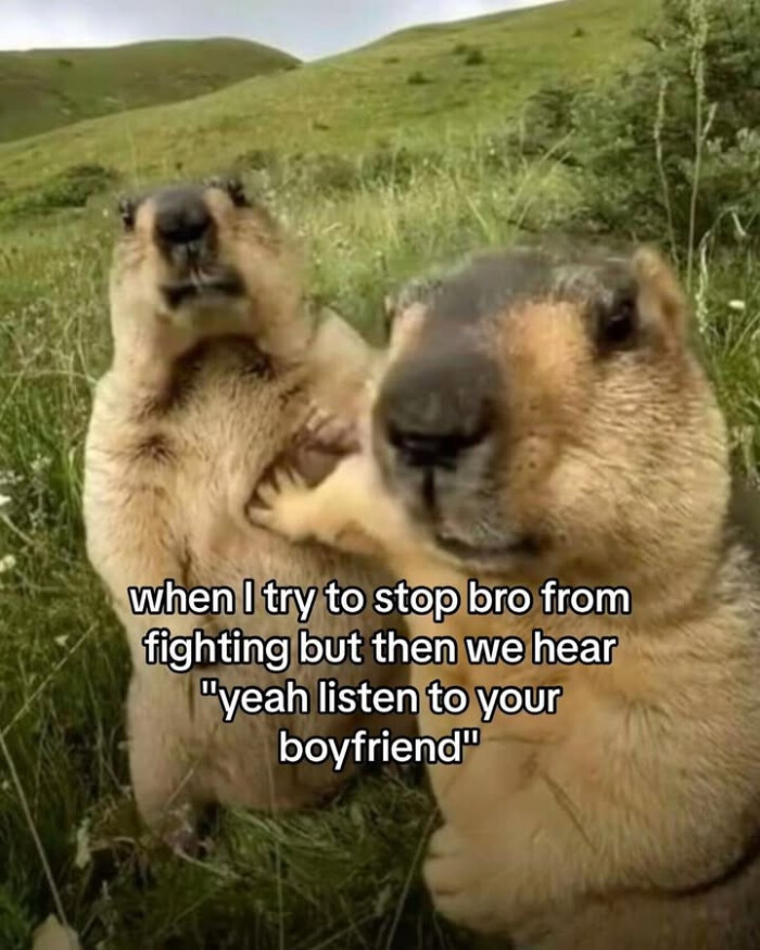 when I try to stop bro from fighting but then we hear "yeah listen your boyfriend"
